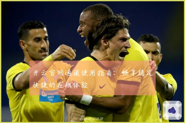 开云官网通道使用指南：畅享稳定快捷的在线体验