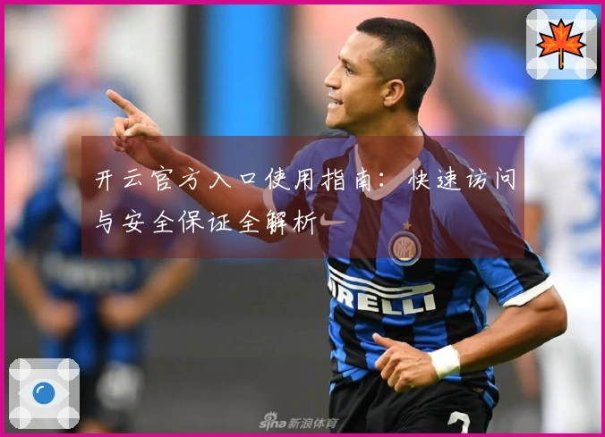 开云官方入口使用指南：快速访问与安全保证全解析